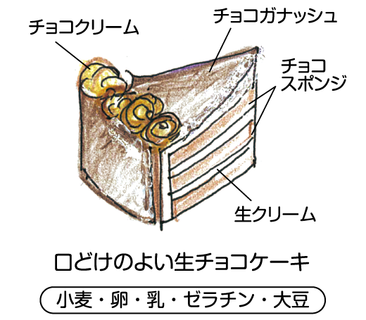 生チョコレートケーキ イラスト