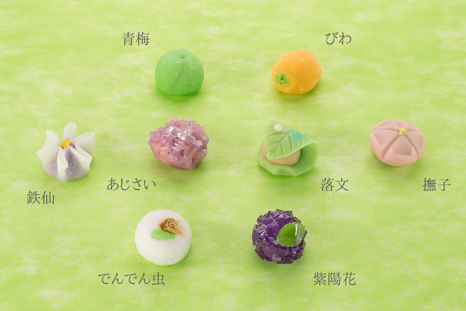 上生菓子：青梅,びわ,鉄仙,あじさい,落文,撫子,でんでん虫,紫陽花