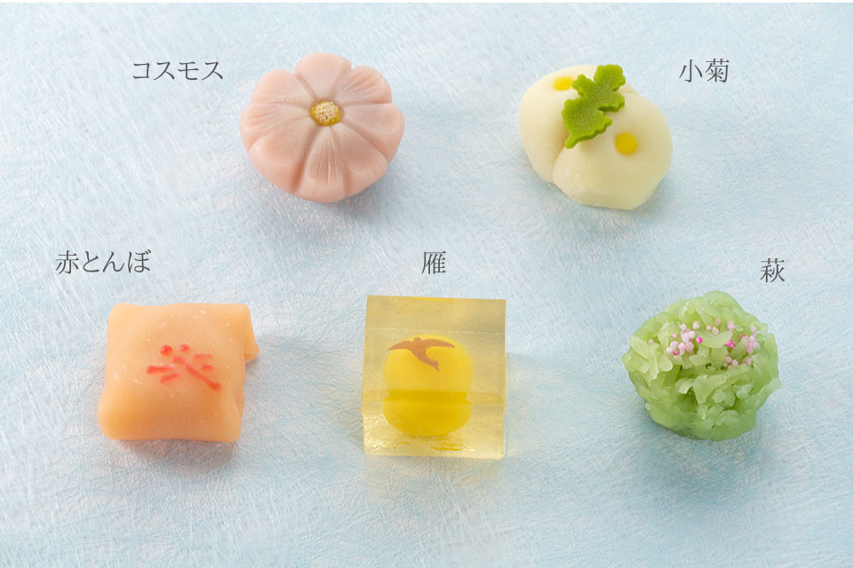 上生菓子：コスモス,小菊,赤とんぼ,雁,萩