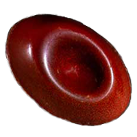 bonbonショコラ:ヴァン･ルージュ