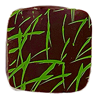 bonbonショコラ:抹茶