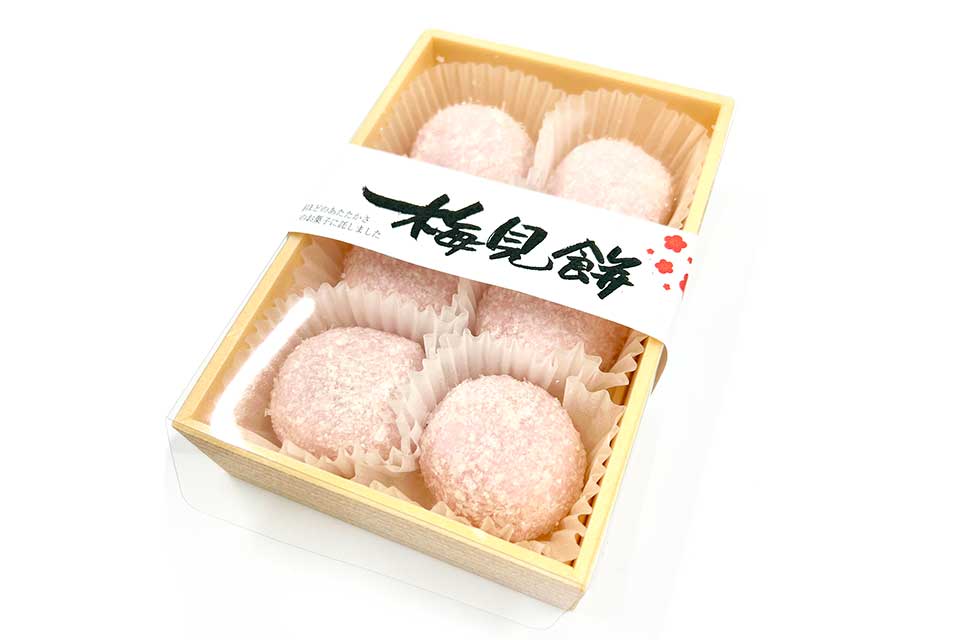 季節のお菓子：梅見餅